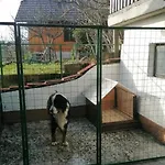 Semesterbostad Kozjanski Odklop *