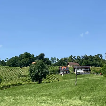 Kozjanski Odklop Buce