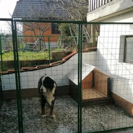 Ferienhaus Kozjanski Odklop *